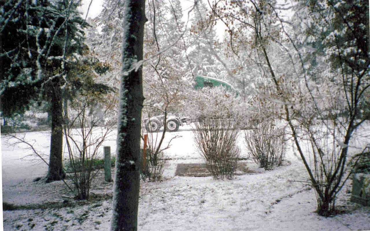 Fleur De Lac Europeran Inn Lake Arrowhead Exterior photo